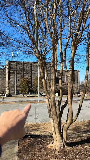 Visiting the set of Stranger Things! Who is a fan of the show? #strangerthings #whatsinside | What's Inside?