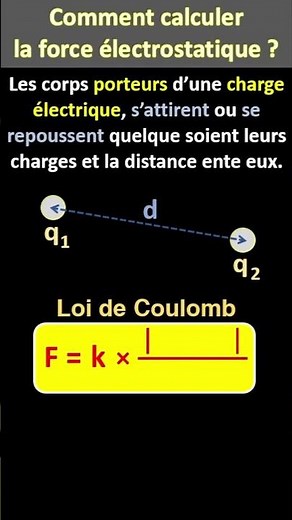 Calculate the electrostatic (electric) force.
