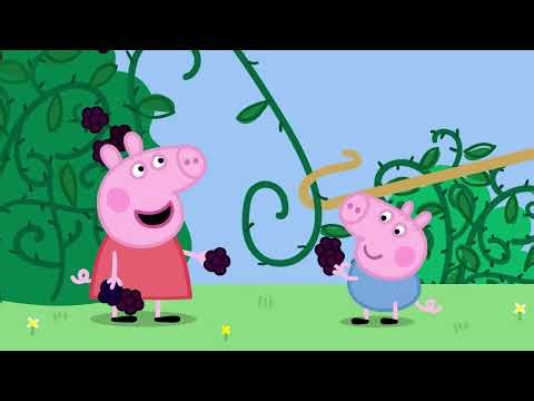 Kids Videos 🐽 | Best Friend Delphine Donkey! | Peppa Pig Full Episodes