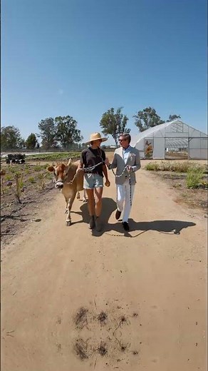 Explore Fox Point Farms
