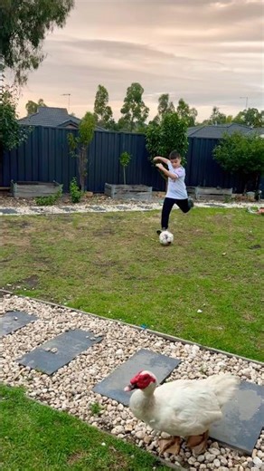 99% Fail This Backyard Goal Challenge! #viral #travel #soccer