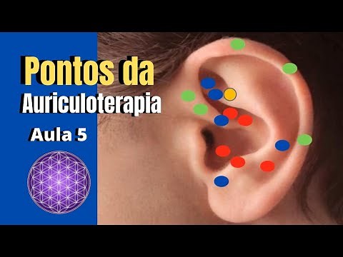 Mapa dos Pontos da Auriculoterapia Francesa, Aula 5