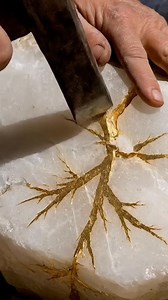 Dendritic gold found in California’s Mother Lode veins forms through rapid crystallization. These rare specimens often command a premium, valued at over $3,500 per ounce due to their unique geometry. Collectors prize this raw form, which remains a cornerstone of the American prospecting heritage. ​#CaliforniaGold #GoldGeology #SpecimenGold #MiningHistory | Erna Mulyani