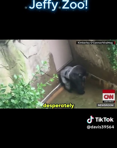 Jeffy goes to the Zoo! #sml #supermariologan #jeffy #fyp #viral | Jeffy