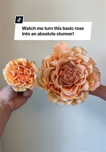 How to Create a Stunning Glamelia Floral Arrangement