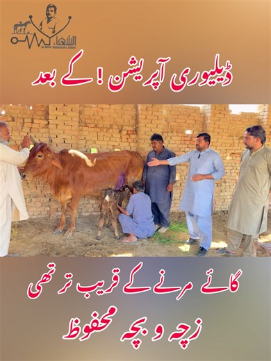 Understanding Operation Outcomes