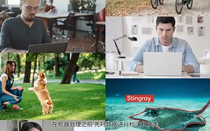 什么是训练数据 Training Data？| 人工智能基础