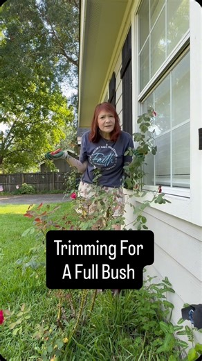 Slightly Knowledgeable Gardener | Keep a full bush 🌹 | Instagram