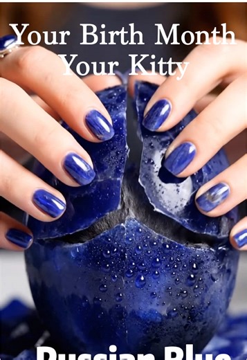 Your birth month, your kitty!!!July-September 🐱 🔮🙀Follow us to get more information!!! 🤗🤗🤗 #kitty #AIart #AIVideo #Crystals #Gemstones