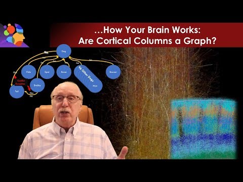 Forget Network Layers—Cortical Columns Think Like Graphs