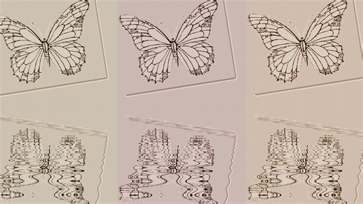 Butterfly, Reflection, Pattern. Free Stock Video