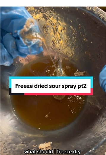 Creating Delicious Freeze Dried Caramel Treats