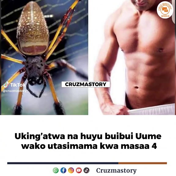 Bongo Movie Trends: Best Clips and Recaps