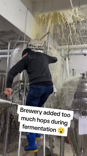 Dumpster Rental Business: Brewery Adds Too Much Hops 😮