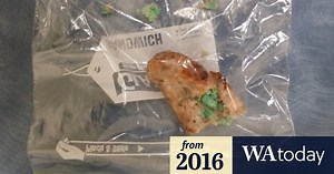 Warning for pet owners after second dog baiting incident in Perth’s north