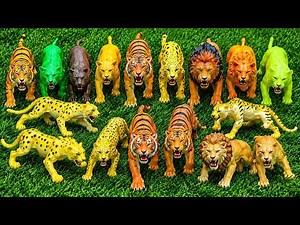 The Ultimate Safari Collection🐆 Can You Spot Them All? 🦁 Safari Lion & Tiger Toy