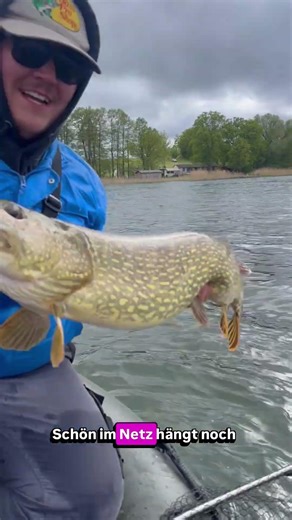 Erster Meter-Hecht der Saison!🔥😱 #hecht #hechtangeln #angeln #meterhecht #pikefishing #pike