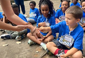 Experience UGA wins 2024 ITGA Presidential Excellence Award