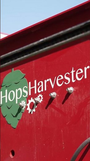 Breeding & Harvesting Hops for Craft Beer | Backyard Farmer