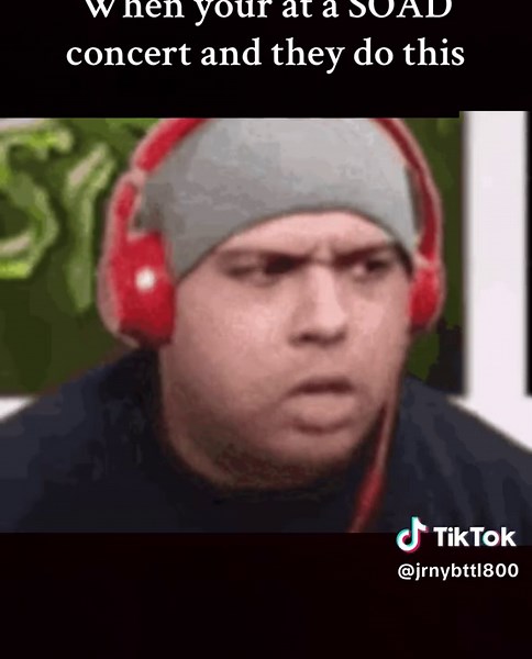 Experience the Energy of a System of a Down Concert