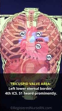 Heart Auscultation Points Made Easy for Nursing School Students #shorts