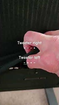 Magnepan LRS Plus Panel Polarity Setup