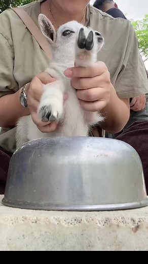 Mini Exotic Space บน TikTok