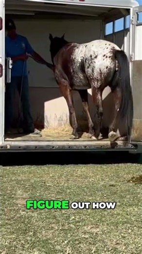 Perfecting the Back Foot Gentle Training Technique