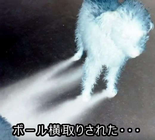 【AviUtl】「ガーン!!」的な色反転のやり方（ネガポジ反転）【階調反転】