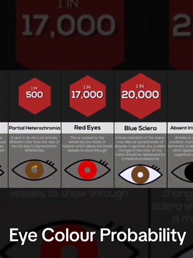 Understanding Eye Colour Probability Facts