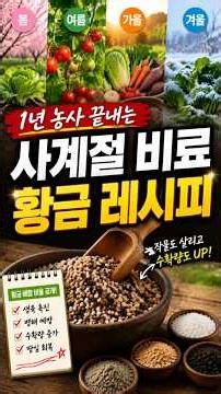 복합비료 사기 전 필독! NPK 뒤에 숨은 최고 등급 비료 조합법