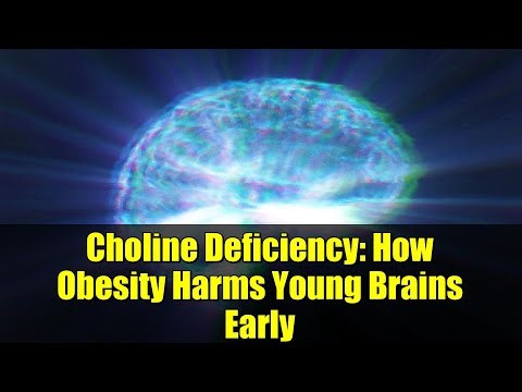 Choline Deficiency: How Obesity Harms Young Brains Early