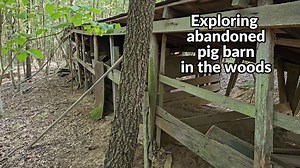 Exploring an Abandoned Pig Barn