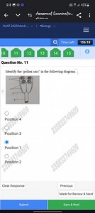 Question 11Identify the 'pollen sacs' in the following diagra... | Filo