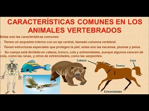 Los animales vertebrados