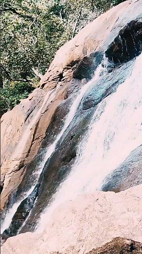 Kiliyur Falls | Hidden Waterfall of Yercaud #KiliyurFalls #Yercaud