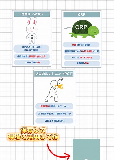WBCとCRPの違いを理解する看護師知識