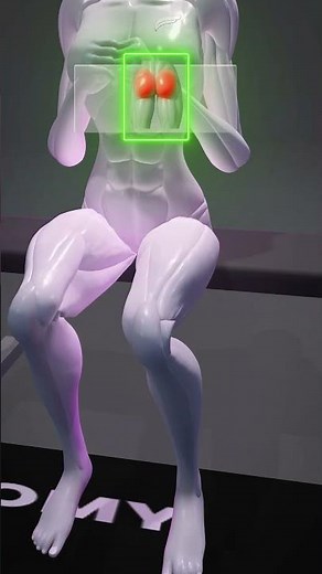 Quads vs Glutes Explained #gym