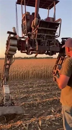 Farmer Tests His Homemade Cornfield Mech Tags #ruralmechanical #farmmech #homemaderobot #americanfar