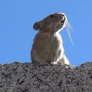 :-) | Piano Sheet Music