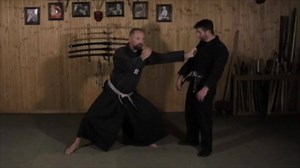 Firstly, I will say that I am still a student and these findings are just my understanding from time training and life experiences. The Bujinkan Tsuki has various lessons. According to tradition, it is instructing a linear thrust/stab with a weapon from the battlefield era ( with or without armour ) to create safer striking distance and minimise ones openings, etc. You are in a state of Totoku Hiyoshi ( sheilding/defending while attacking/pushing forward ).The lunging punch also conditions the l