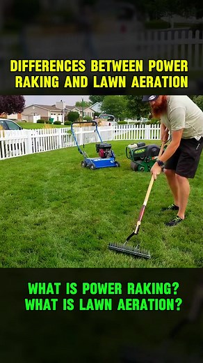 Understanding Power Raking and Lawn Aeration