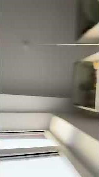 How to Save a Dying Plant | Plant Tips & Hacks | creative explained