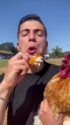 Understanding Veganism: A Message from That Vegan Teacher