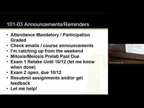 Ch 6, Pt 3 (10-06-25)