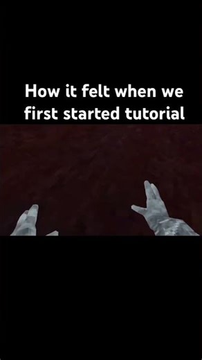 How it felt when we first started tutorial #gorillatagquest #gorillatag ￼