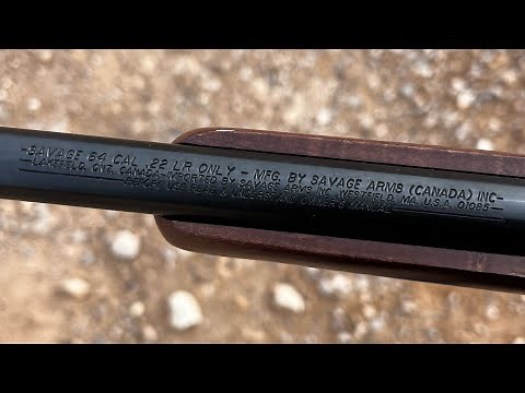 Savage 64 with extended 20rd mag review