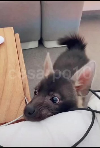 Cuentas recomendadas