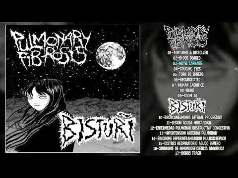 Pulmonary Fibrosis / Bisturi FULL SPLIT (2024 - Goregrind / Grindcore)