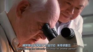 中英文字幕《花的起源-第一朵花 First Flower》